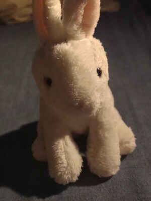 Konijn Official Portrait 2025.jpg