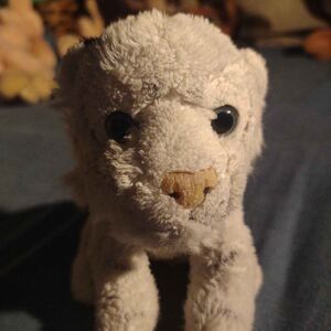 Siberius Official Portrait 2025 Square.jpg