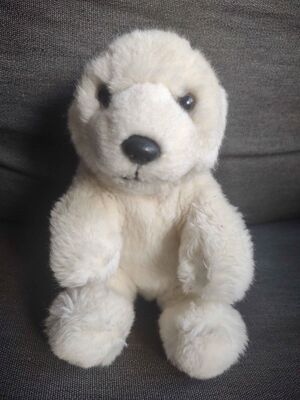 Igor Official Portrait 2025.jpg