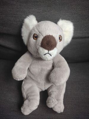 Koalaatje Official Portrait 2025.jpg