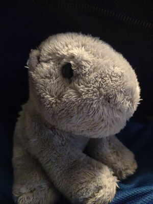 Nijlpaard Official Portrait 2025.jpg