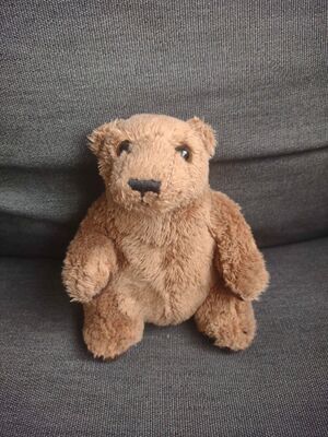 Beer Furtoen Official Portrait 2025.jpg