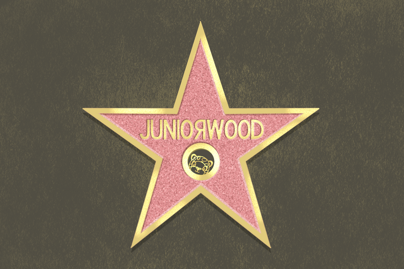 File:Juniorwood Flag.png