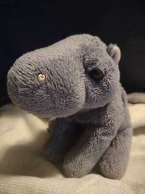 Hippo Official Portrait 2025.jpg