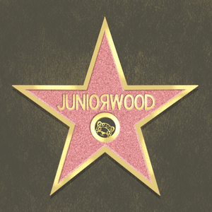 Juniorwood Flag Square.png