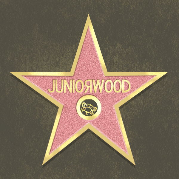 File:Juniorwood Flag Square.png