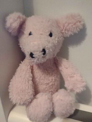 Varkentje of Hambon Official Portrait 2025.jpg