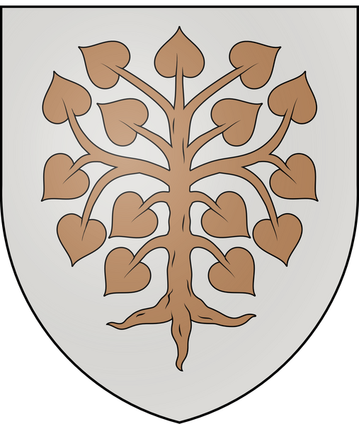 File:Florent Shield.png