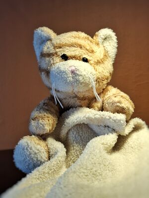 Tigros Official Portrait 2026.jpg