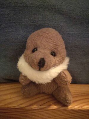 Bjorn Official Portrait 2025.jpg