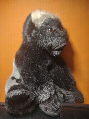 Mubarak Official Portrait 2026.jpg