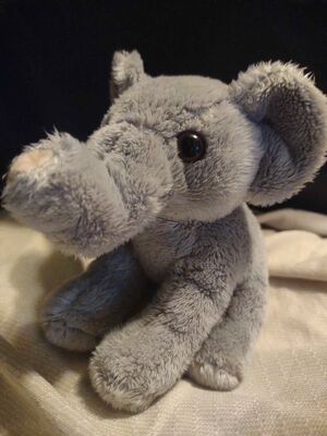 Olifant Official Portrait 2025.jpg