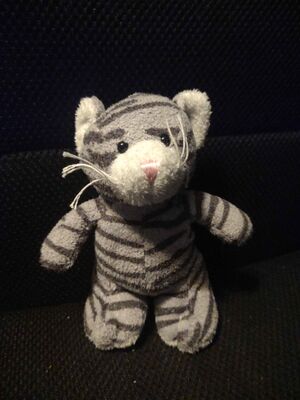 Kelgrish Official Portrait 2025.jpg