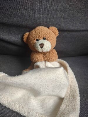 Beertje Maple Official Portrait 2025.jpg