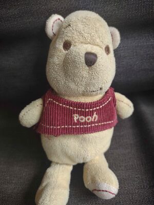 Pooh Official Portrait 2025.jpg