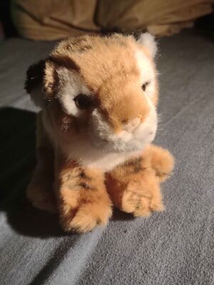 Titania Official Portrait 2025.jpg