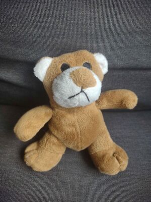 Beertje Bos Official Portrait 2025.jpg