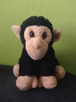 Chako Official Portrait 2025.jpg