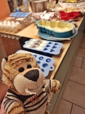 Tigris Crave in the kitchen.jpg