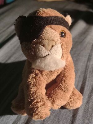 Triborr Official Portrait 2025.jpg