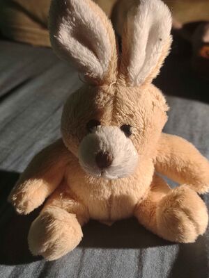 Bon Bunny Official Portrait 2025.jpg