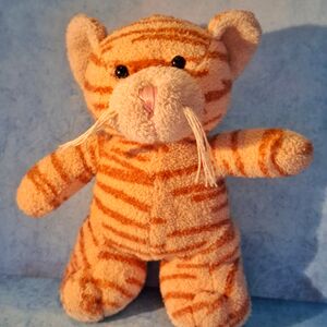 Tigrish Official Portrait 2025 Square.jpg