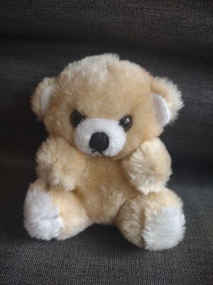 Beertje Omtzigt Official Portrait 2025.jpg