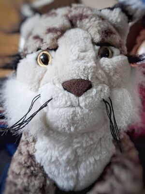 Spot Official Portrait 2026.jpg