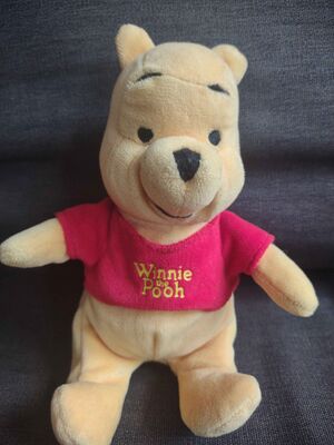 Xi Jing Pooh Official Portrait 2025.jpg