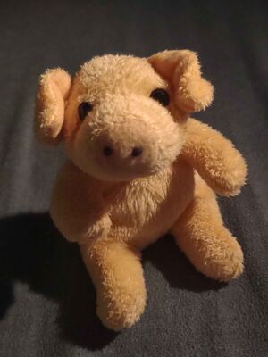 Knorretje of Bonaporke Official Portrait 2025.jpg