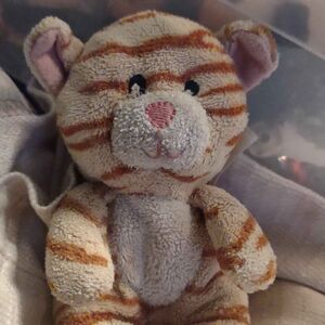 Tijgerinnetje Official Portrait 2025 Square.jpg