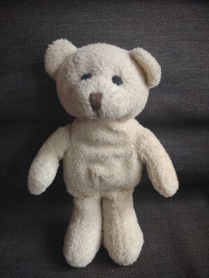 Beertje Bor Official Portrait 2025.jpg