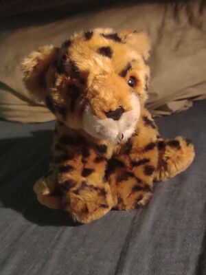 Bolsolina Official Portrait 2025.jpg