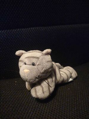 Richy of Ashai Official Portrait 2025.jpg