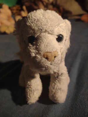 Siberius Official Portrait 2025.jpg