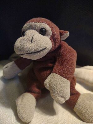 Aapje Official Portrait 2025.jpg