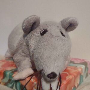 Mama Rat Official Portrait 2025 Square.jpg