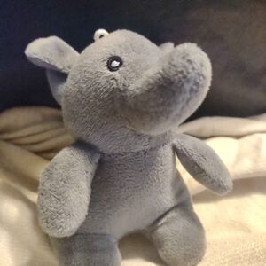 Slurfie Official Portrait 2025 Square.jpg