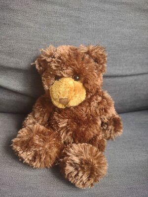 Theo van Beer Official Portrait 2025.jpg