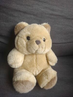 Robin Official Portrait 2025.jpg