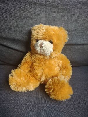 Hazelnaro Official Portrait 2025.jpg