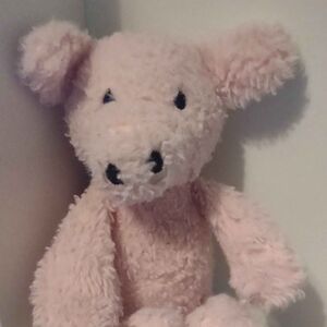 Varkentje of Hambon Official Portrait 2025 Square.jpg