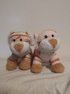 Barker & Fluffy Official Portrait 2025.jpg