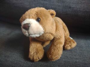 Beer Official Portrait 2025.jpg