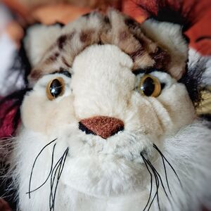 Spottelina Official Portrait 2026 Square.jpg