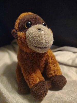 Abu Official Portrait 2025.jpg