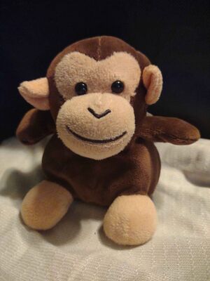 Bingo Official Portrait 2025.jpg