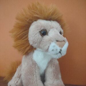 Safez of Roarborne Official Portrait 2025 Square.jpg