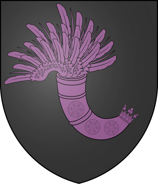 File:Di Mercante Shield.png