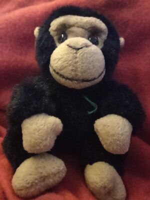 Qaddam Hussape Official Portrait 2026.jpg